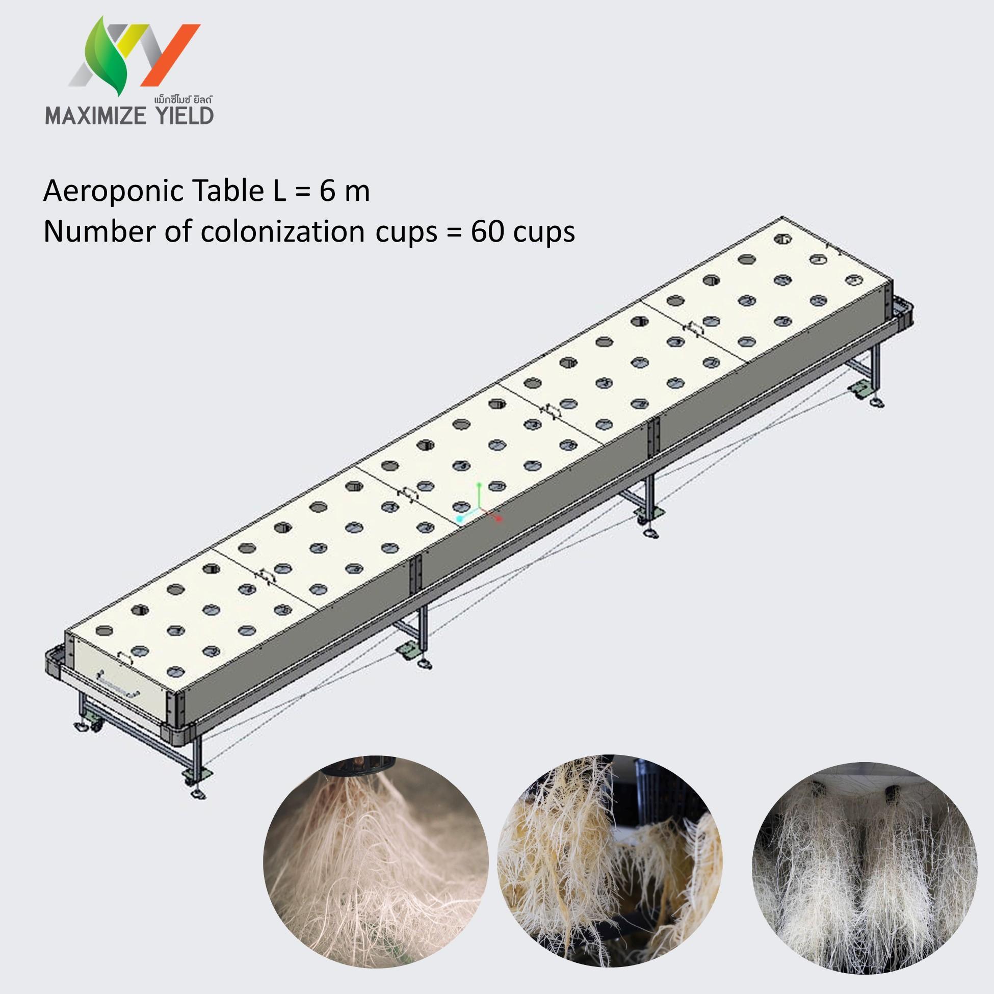 Aeroponic plants table